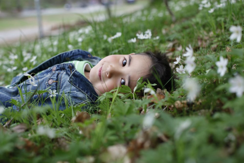 En jente ligger i en eng full av hvitveis